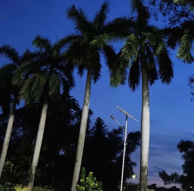 NIT Durgapur Campus photo 30